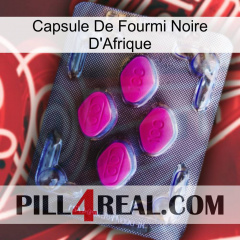 Africa Black Ant Capsule 02